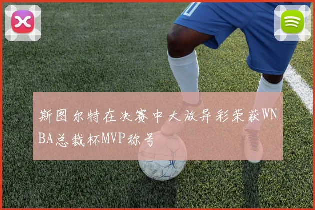 斯图尔特在决赛中大放异彩荣获WNBA总裁杯MVP称号